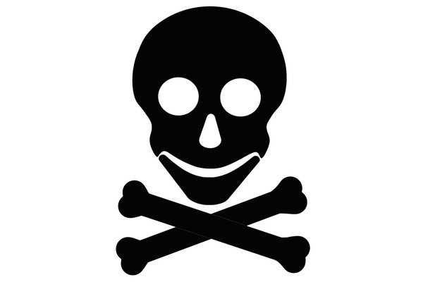 Skull and crossbone - Download Illustration