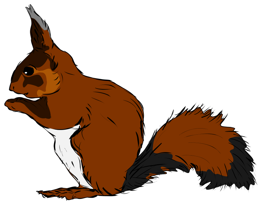 Squirrel Pic | Free Download Clip Art | Free Clip Art | on Clipart ...