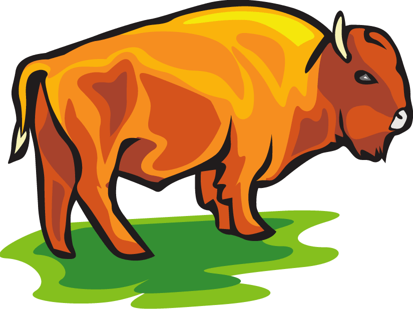 Buffalo kansas bison clipart kid - Clipartix