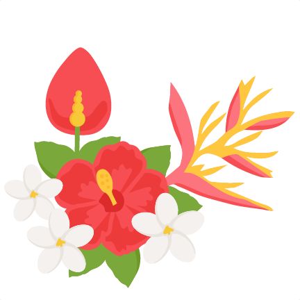 1000+ images about Home - Hawaii