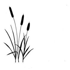 Flower, Silhouette and 'salem's lot