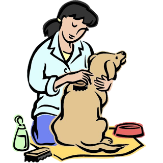 Animal Grooming - Cartoon Animal's Homepage