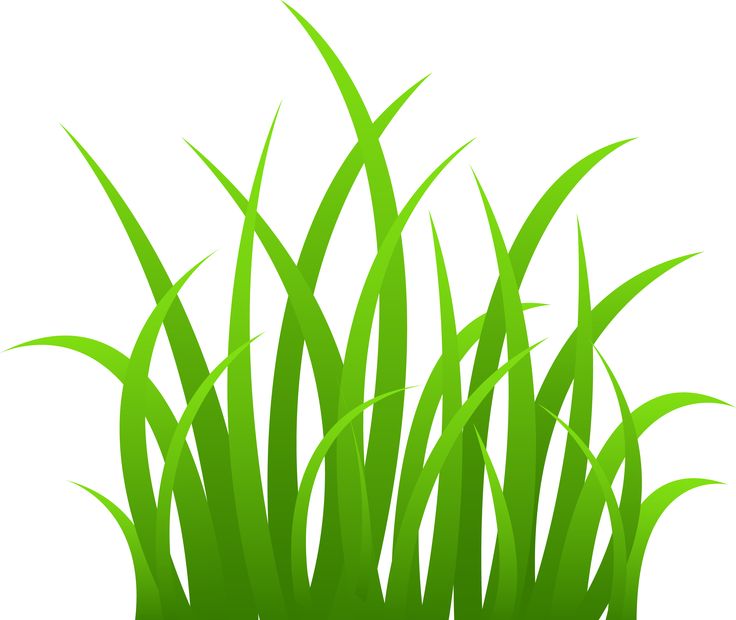 Grass border clipart