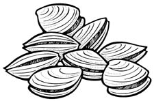 Free Clipart Network : Aquatic