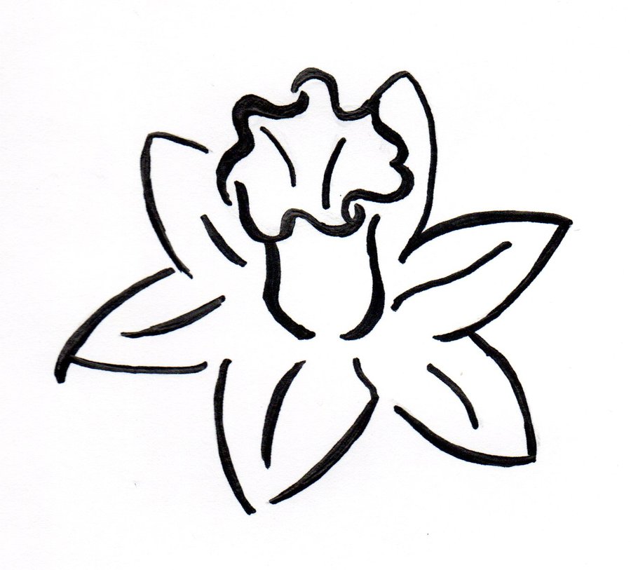 Daffodils Clipart | Free Download Clip Art | Free Clip Art | on ...