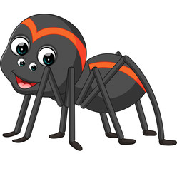 Search photos tarantula