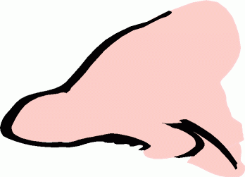 Cartoon Nose Clip Art