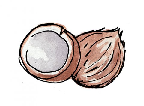 Coconut Oil | Absolutely Everything You Need to Know | Whole Foods ...