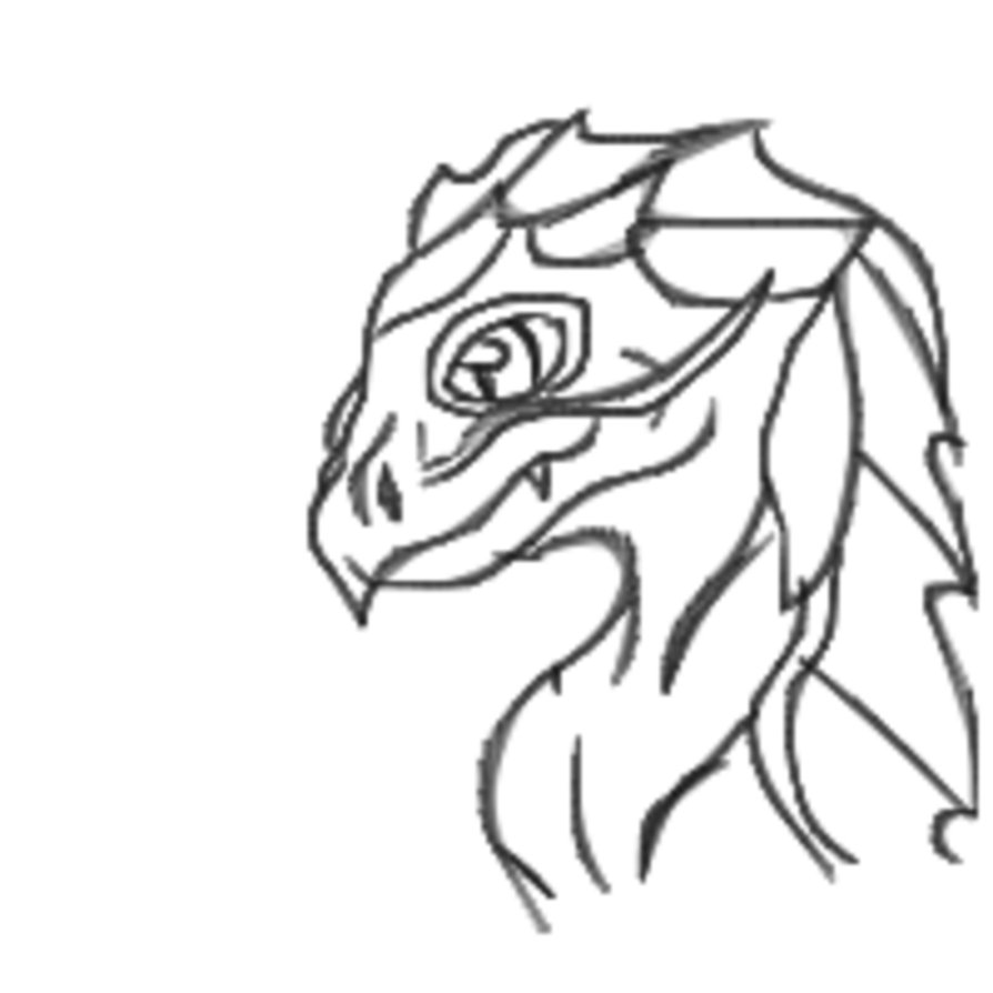 White Dragon Head © Judy Schmidt