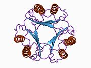 Macrophage migration inhibitory factor