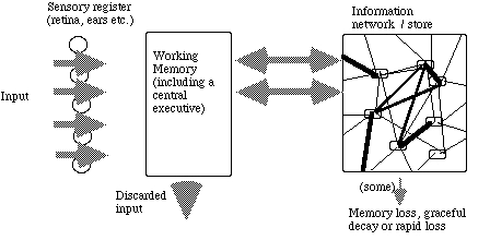 c2.JPG