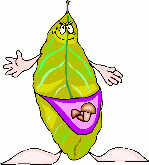 leaf_cartoon clipart - leaf_cartoon clip art
