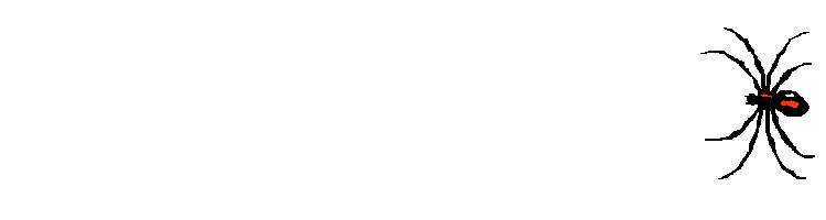 Scary Spiders Animations