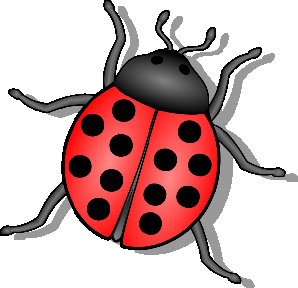 Clipart Bugs - Tumundografico