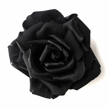 Black And Pink Flower Wallpaper | Flower Hill Design Company