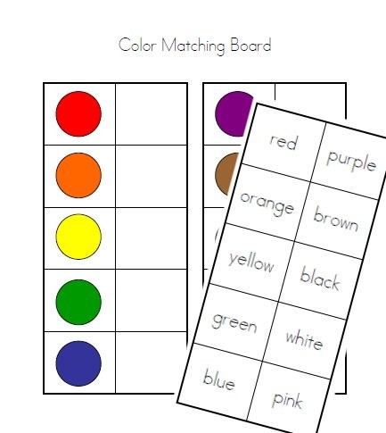 1000+ images about Daycare :: Colors | Chameleon ...