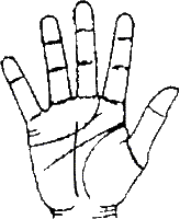 Accurate Tarot Palmistry & Psychic Readings Spellboundsue - Palmistry