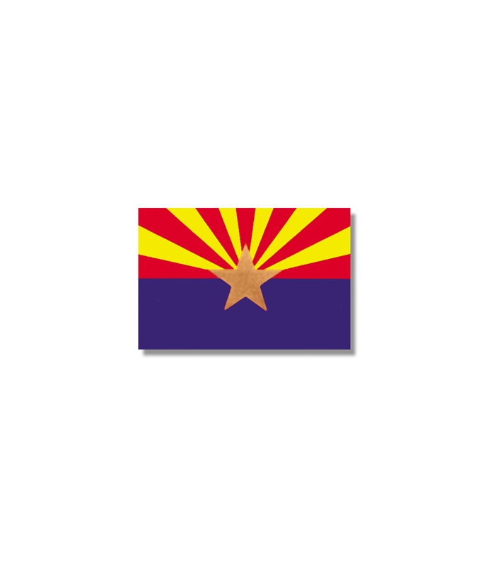 Arizona State Flag