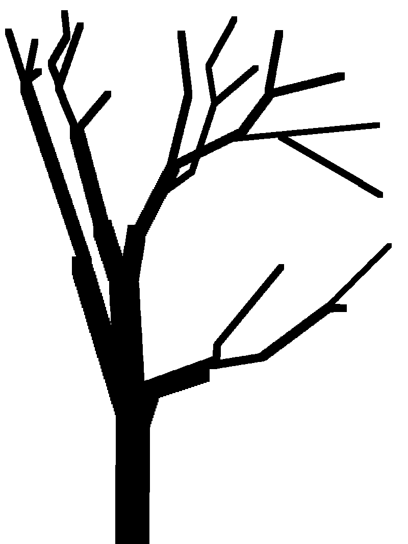 trees and signs Archives | SPLOTCHYSPLOTCHY