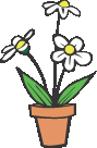 FlowerPot.gif