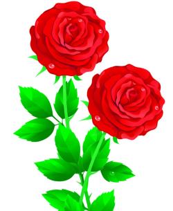 Internet Dating: How digital roses can make it a better experience.