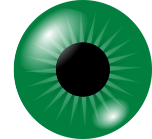 Green Eye clip art - vector clip art online, royalty free & public ...