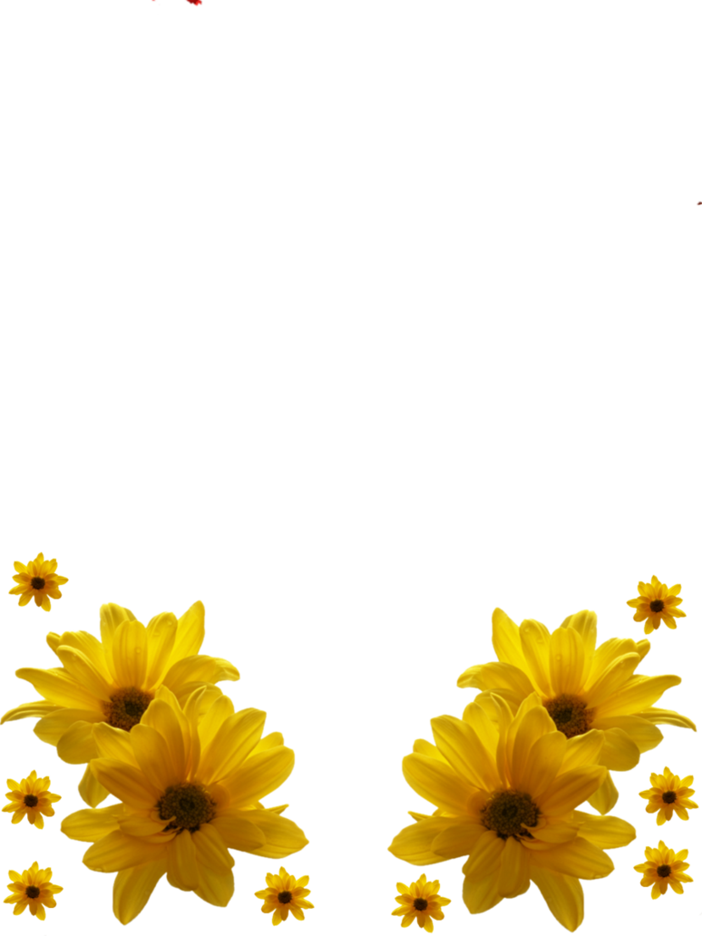 deviantART: More Like Frame png 4 by eveningstars242