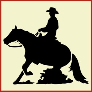 Reining Horse and Rider
