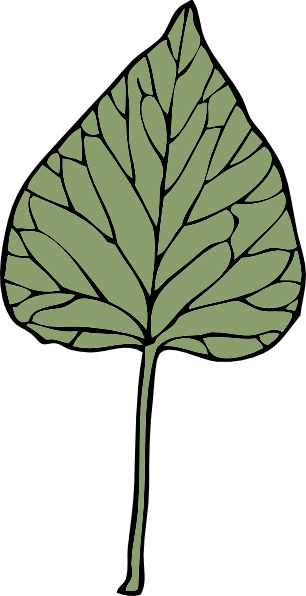 Ivy Leaf clip art - vector clip art online, royalty free & public ...