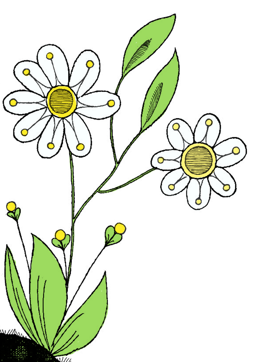 Happy Birthday Flowers Clip Art - ClipArt Best
