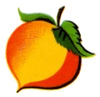 Retro Clip Art of Food: 1950's Art of Fruits & Vegetables