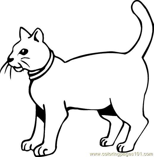 K State Wildcat Coloring Page Coloring Pages