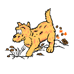 Dog and Puppy Running, Playing And Eating Animations