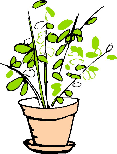 Clip Art - Clip art plants 596207
