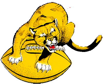 Washington State Cougars Primary Logo - NCAA Division I (u-z ...