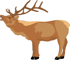 Animal 5 Picture Clipart, vector clip art online, royalty free ...