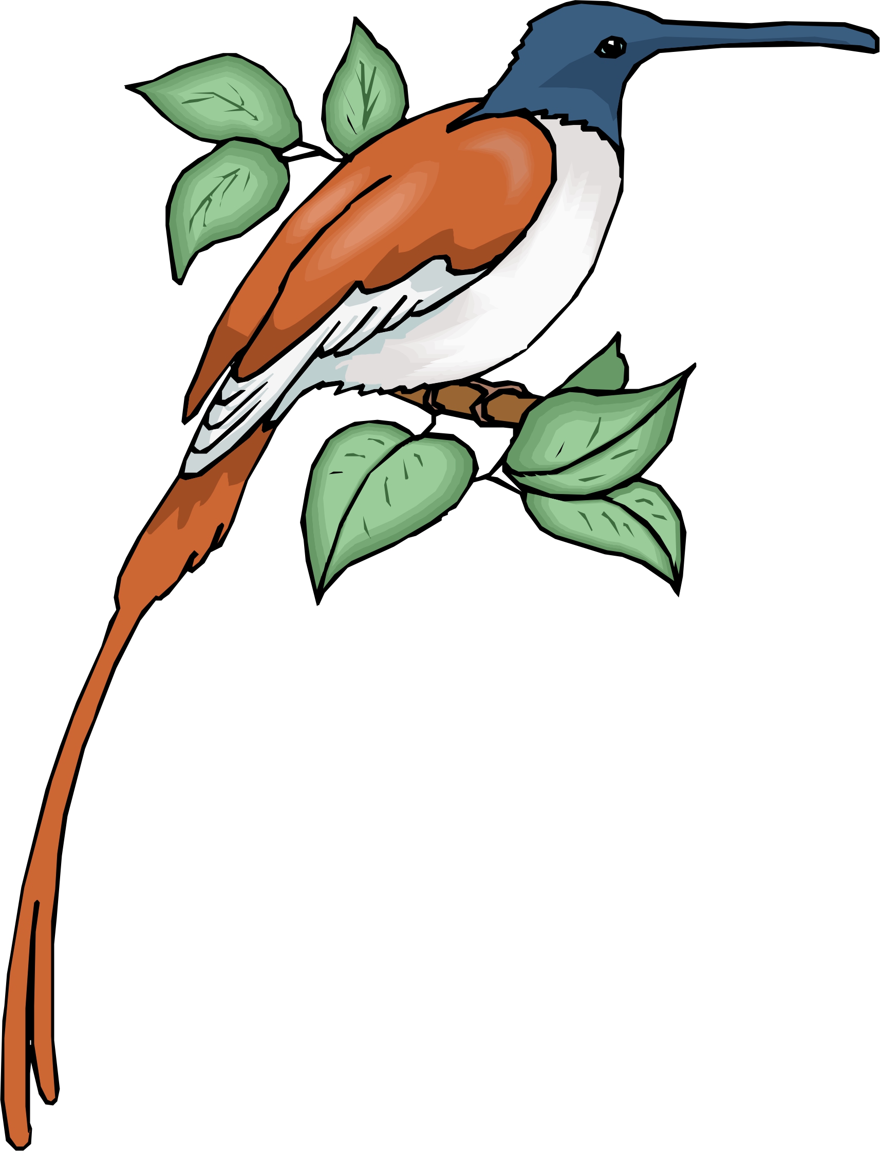 Cartoon Birds | Page 3