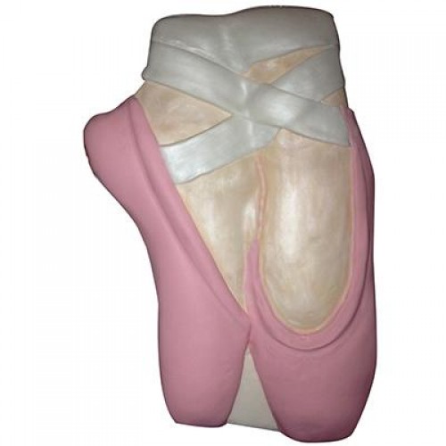 Pantastic Ballet Slippers Cake Pan