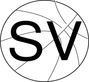Sv Basketball clip art - vector clip art online, royalty free ...