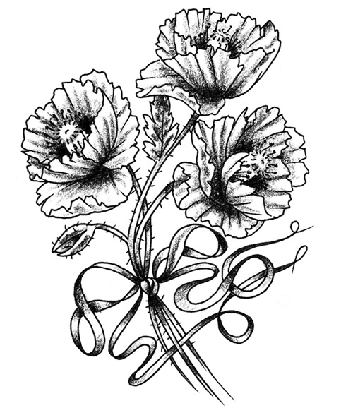Poppy Flower Drawing