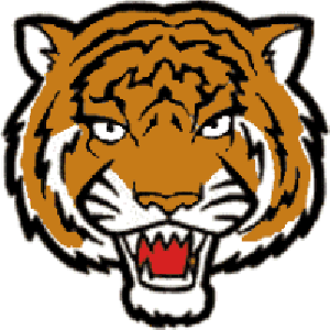 Tiger Face Clip Art - Tumundografico