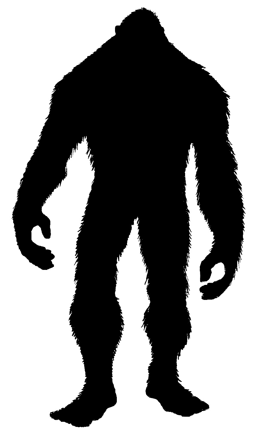 Roles, Rules, and Rolls: Wild Silhouettes