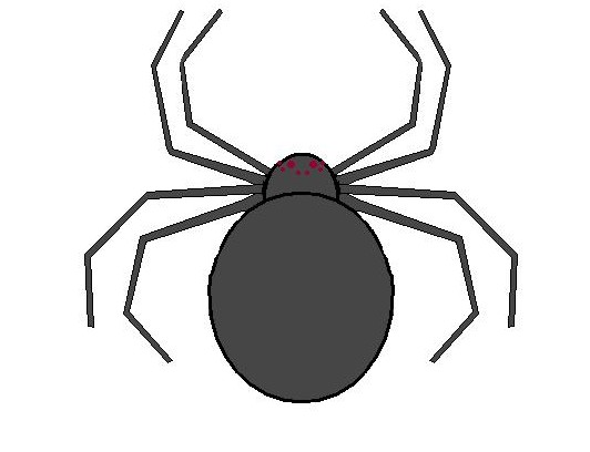 Spiders Cartoon