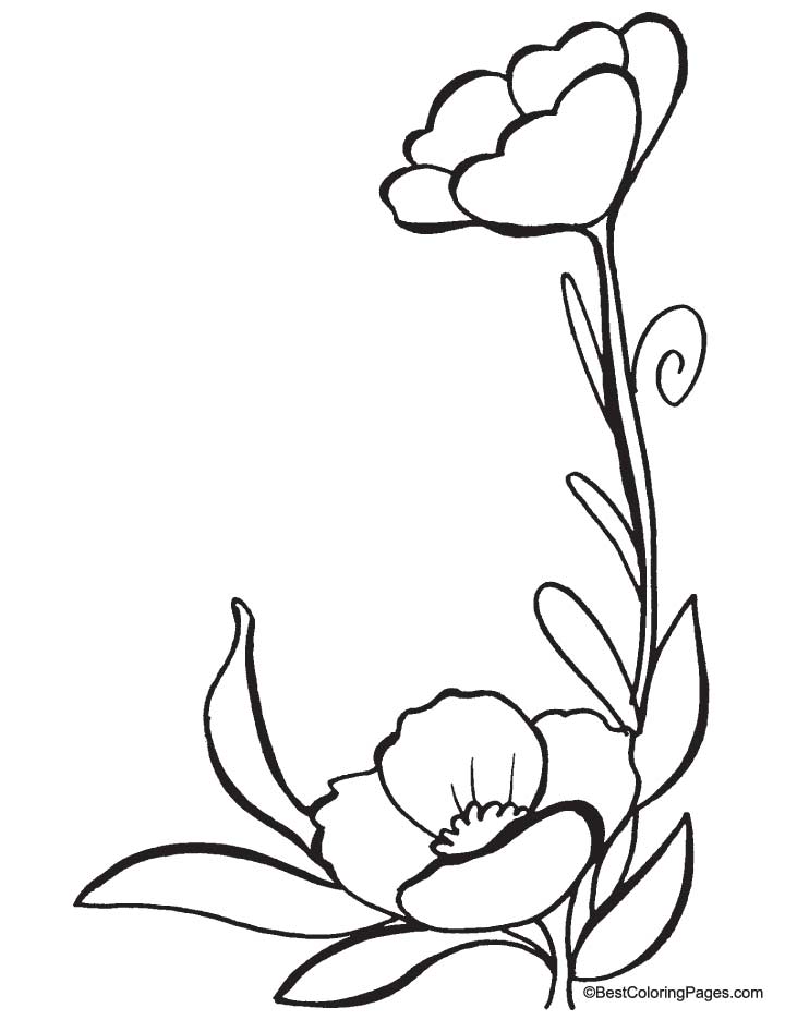 Coloring Pages Poppy Flower - AZ Coloring Pages