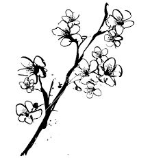 Black and white, Search and Black