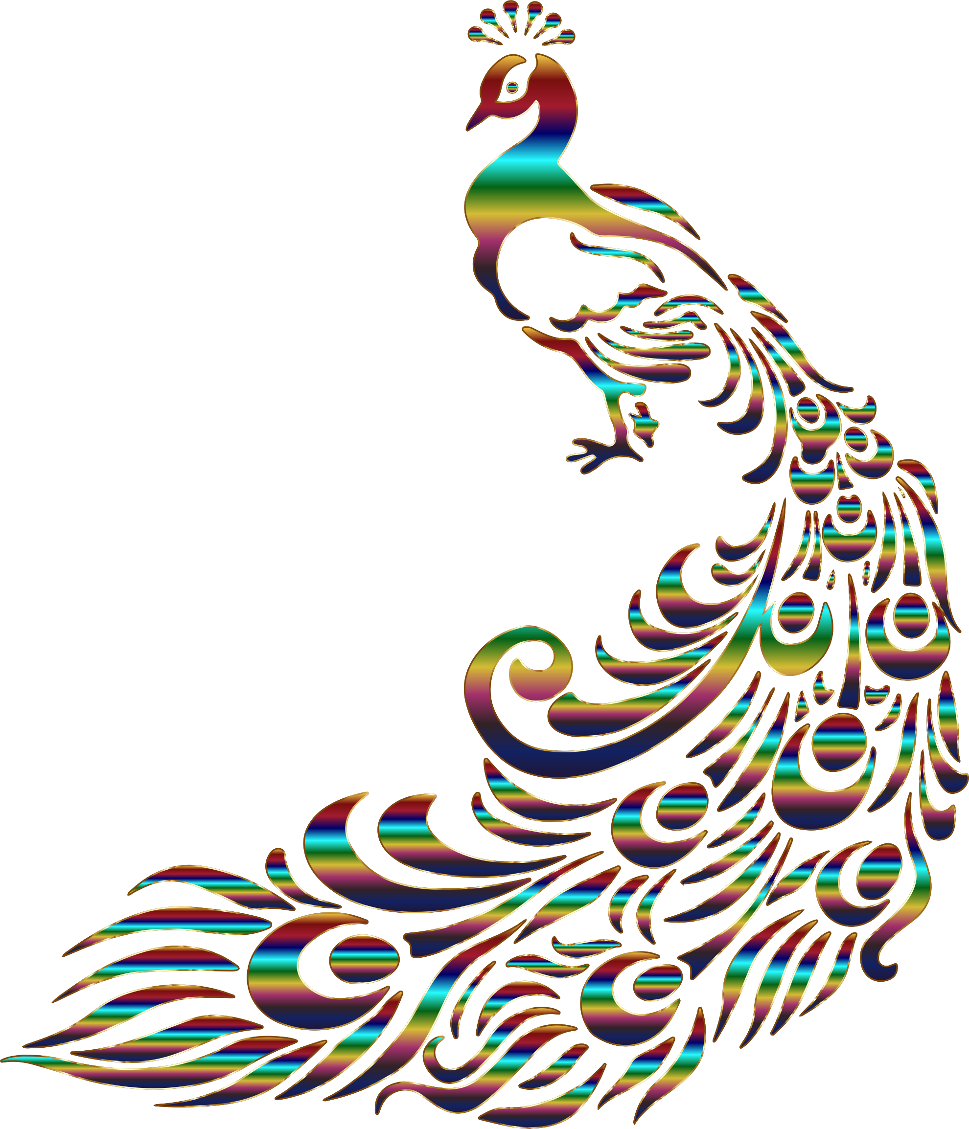 Clipart - Chromatic Peacock 6 No Background