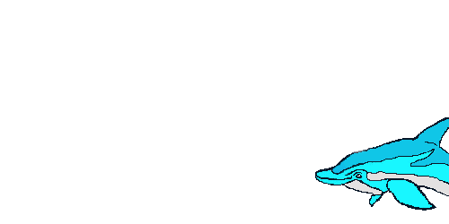 Animated Dolphin | Free Download Clip Art | Free Clip Art | on ...