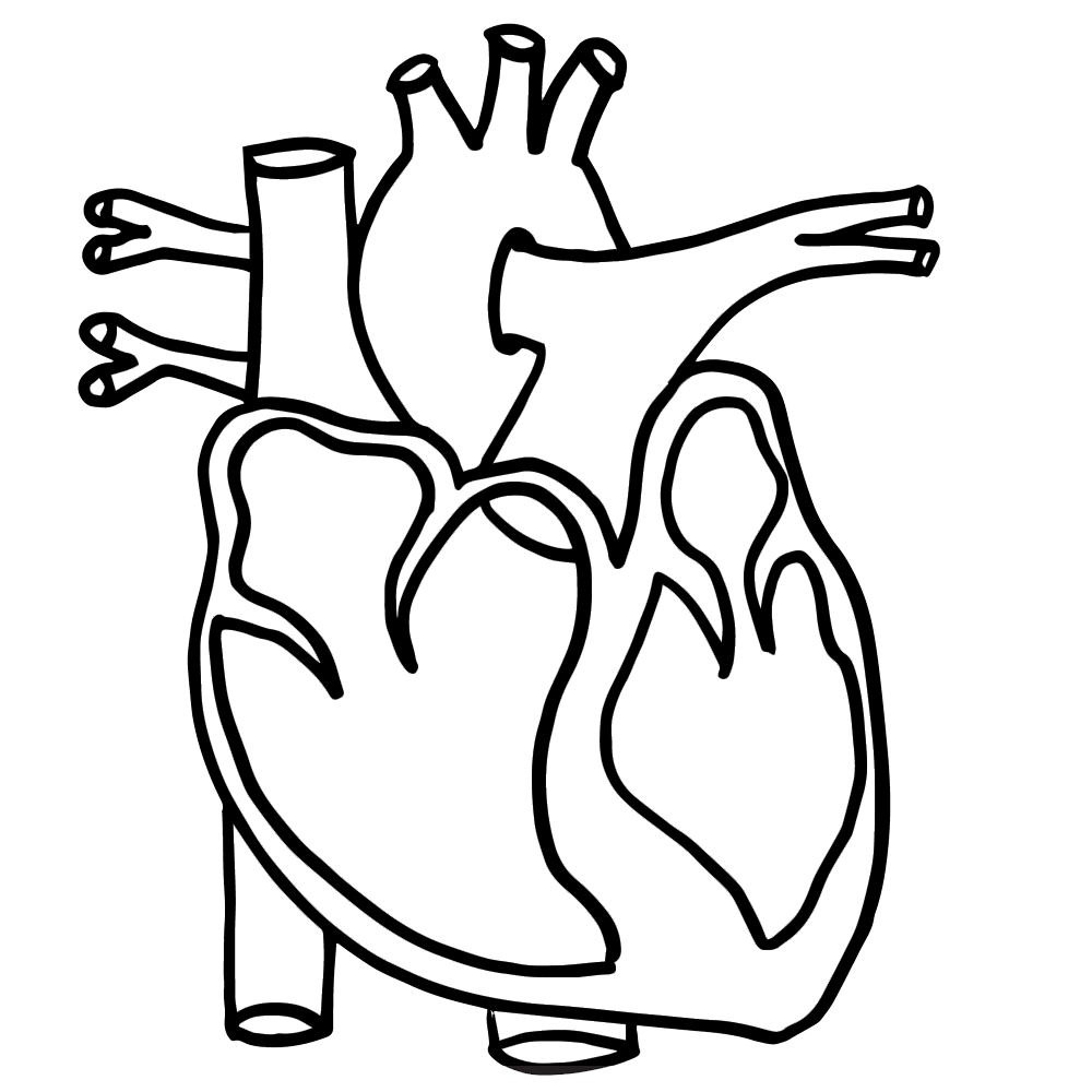 Heart Clipart -