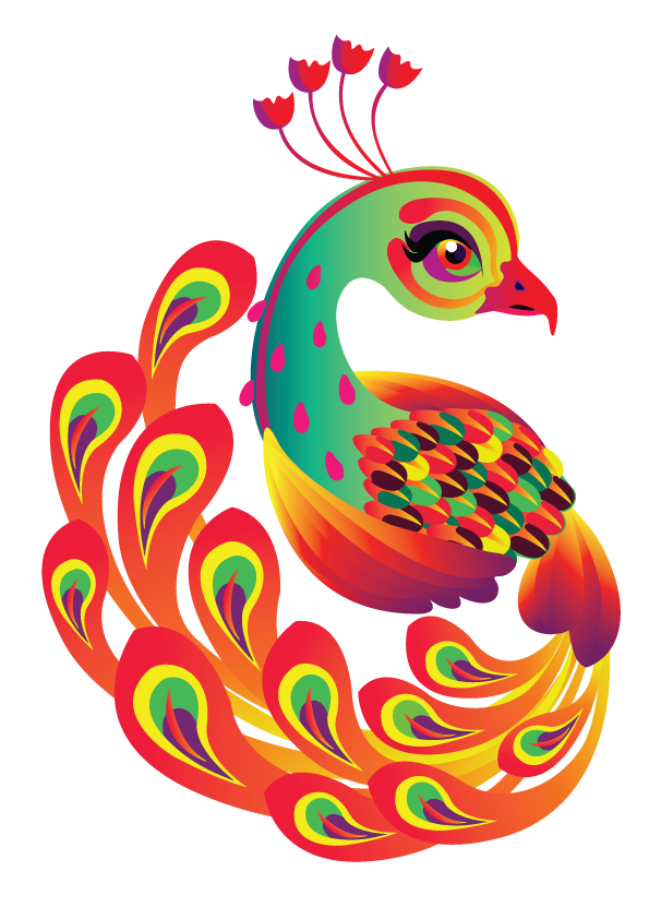 Peacock T-Shirt Design - Chico Graphic Design
