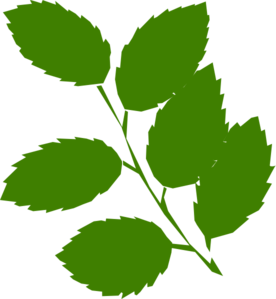 Green leaves images free clipart images - Clipartix